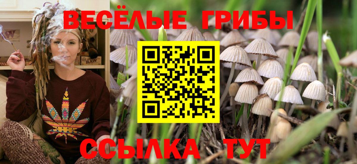 Псилоцибиновые грибы GOLDEN TEACHER Лесной